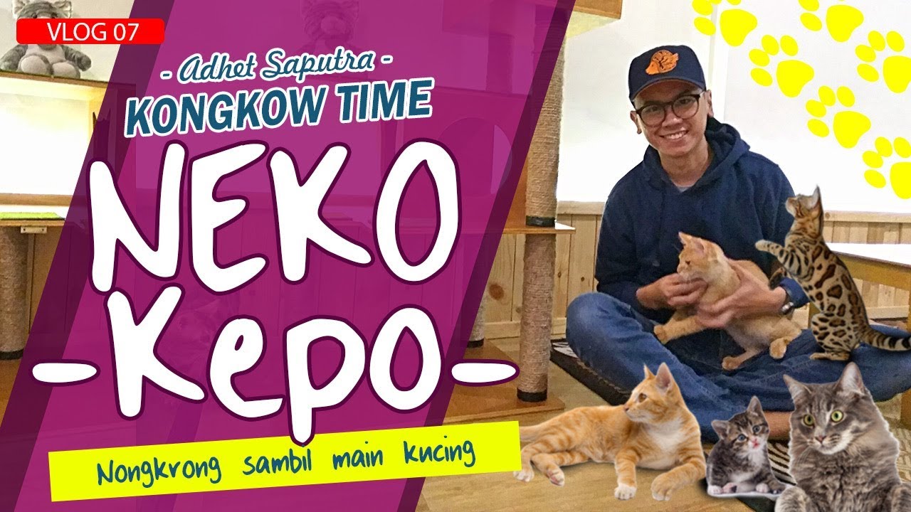 CAFE KUCING PERTAMA DI KOTA MALANG, Neko-Kepo Cat & Cafe || ADHETVLOG