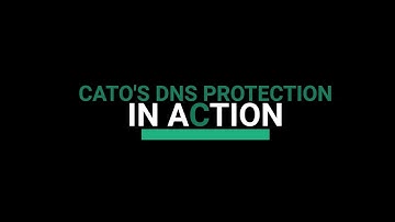 DNS Protection Demo | What is DNS Protection?