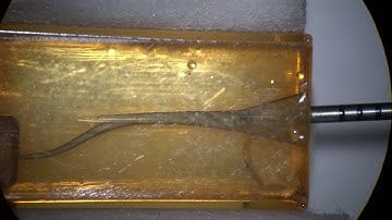 AF CL file to bypass a ledge