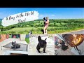 French Bulldog | Day In The Life Of Steve