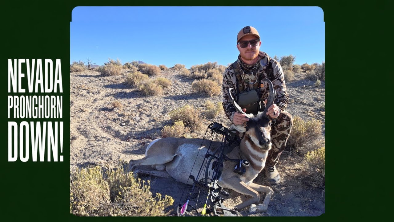Nevada Archery GIANT! 73-Point Pronghorn at 55 Yards | Epic Waterhole Solo Hunt