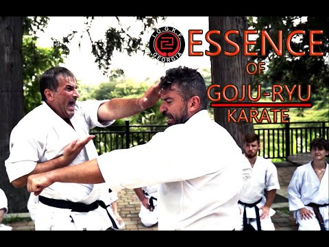 გოჯუ-რიუ კარატეს არსი / Essence of Goju-Ryu Karate