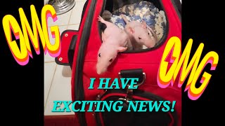 Very Exciting News Regarding My Rats!