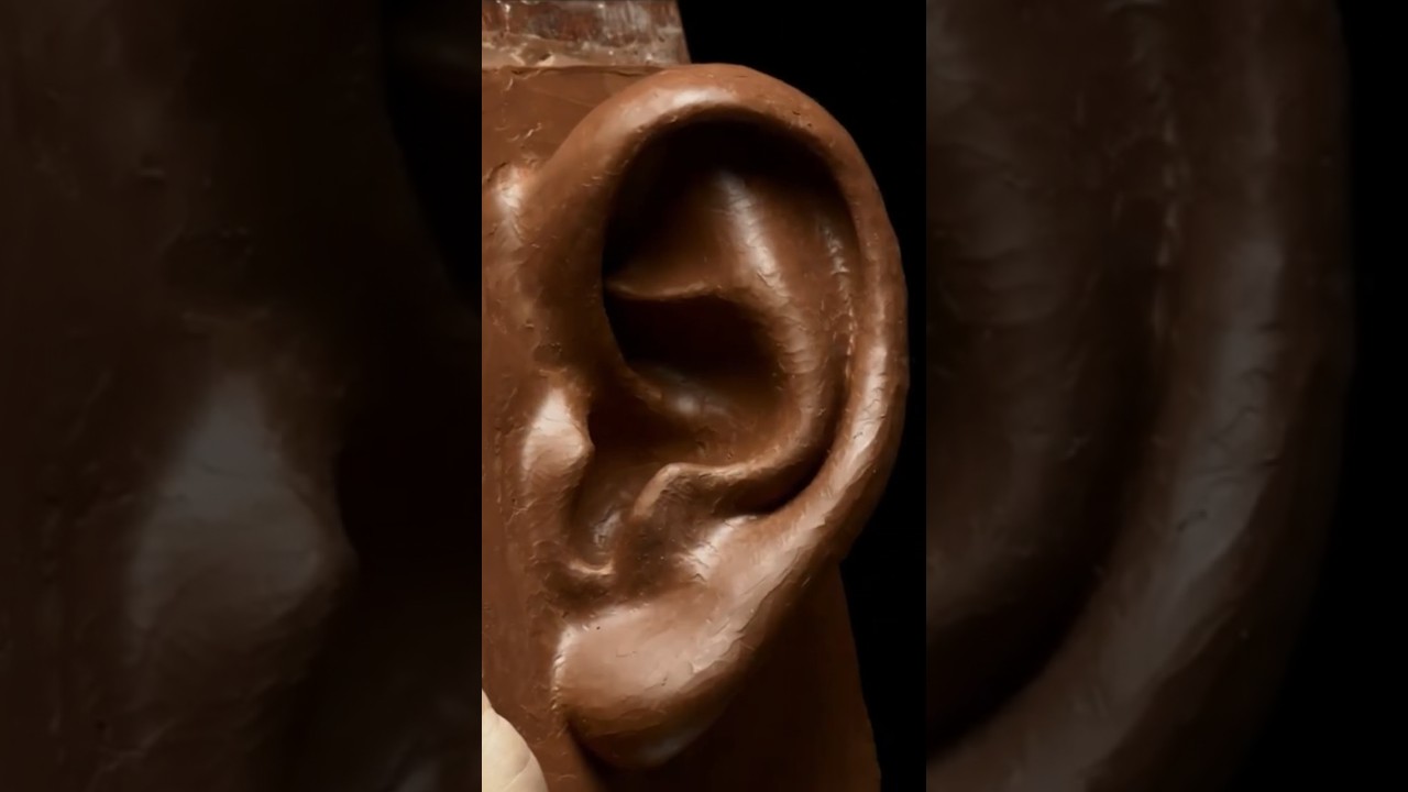 Large Ear Study Assignment Demo From The Proko Portrait Sculpting Course. 
