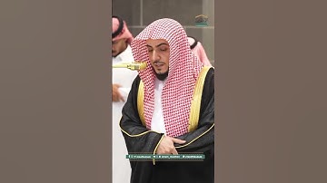 تلاوة الشيخ وليد الشمسان سوره الحُجُرات #قران_كريم #سورة_الحجرات #الوليد_الشمسان #اجر_لي_ولك