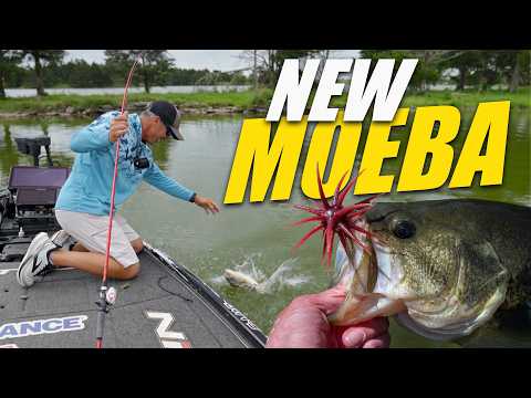 We Tried The Most Hyped New Bass Bait on the Market