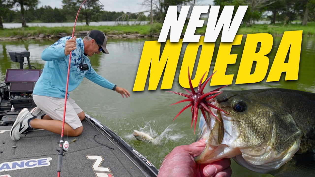 We Tried The Most Hyped New Bass Bait on the Market