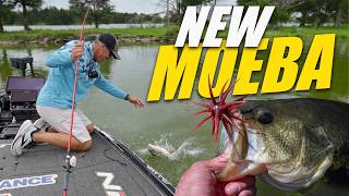 We Tried The Most Hyped New Bass Bait on the Market