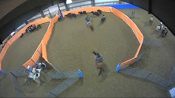 Big Sky Ranch Sorting Saddle Series #2 - #3 - Round #1 - Ride #20