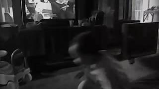 Om Telolet Om Dance
