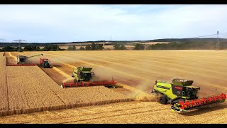 : CLAAS LEXION 795 TT Grain Harvester