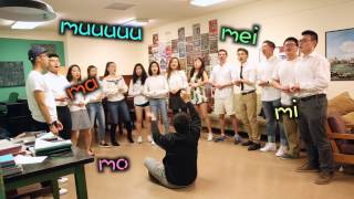 BCA Spring Show 2017！