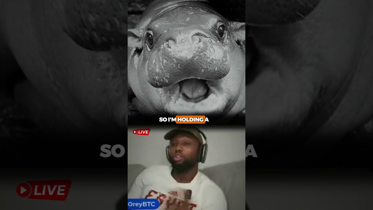 Я только что потерял 600 тысяч долларов на Moodeng Memecoin?! 🤯😱