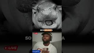 I Just Lost $600K on Moodeng Memecoin?! 🤯😱