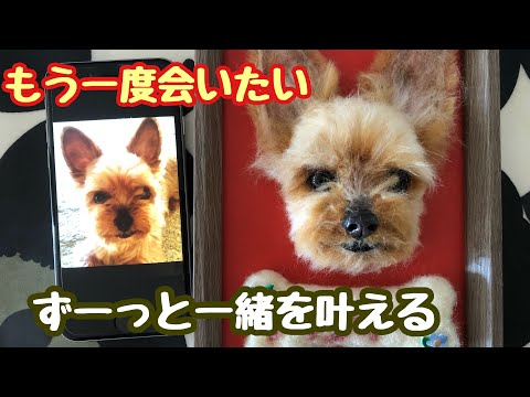 わんこ限定　わたわたペット　羊毛フェルト作品　うちの子プレート わんこ限定 うちの子プレート わたわたペット 羊毛フェルト作品