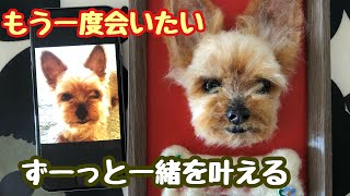 もう一度会いたいを叶える【わたわたペットのうちの子プレートが出来る