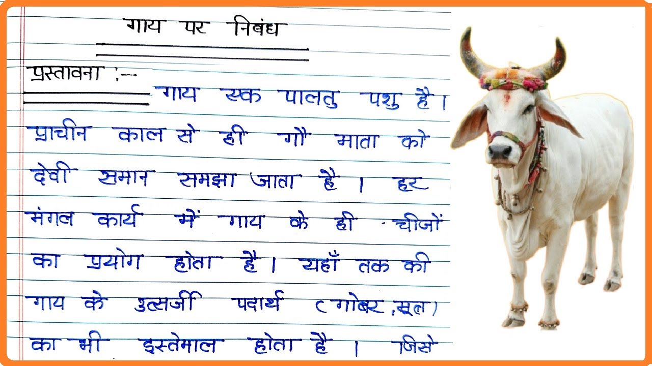 cow par essay in hindi