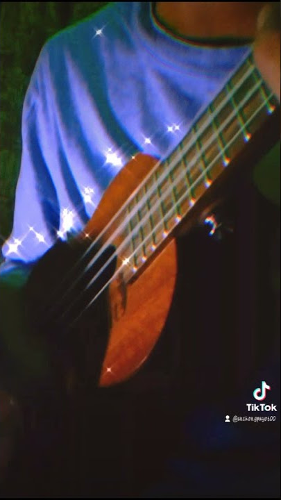 the loser - verzache [ukulele cover/tiktok song]