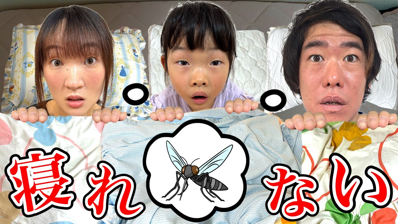家族みんな寝れなくなりました・・・・・・【実話再現】