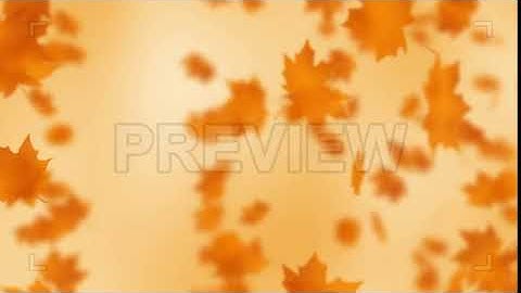 Fall Leaves Loop