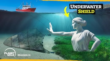 A genius way to protect the ocean