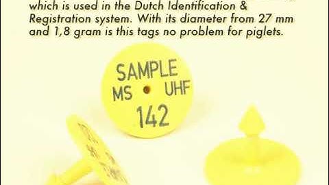 Ferm RFID - test UHF RFID tags for pigs (video)