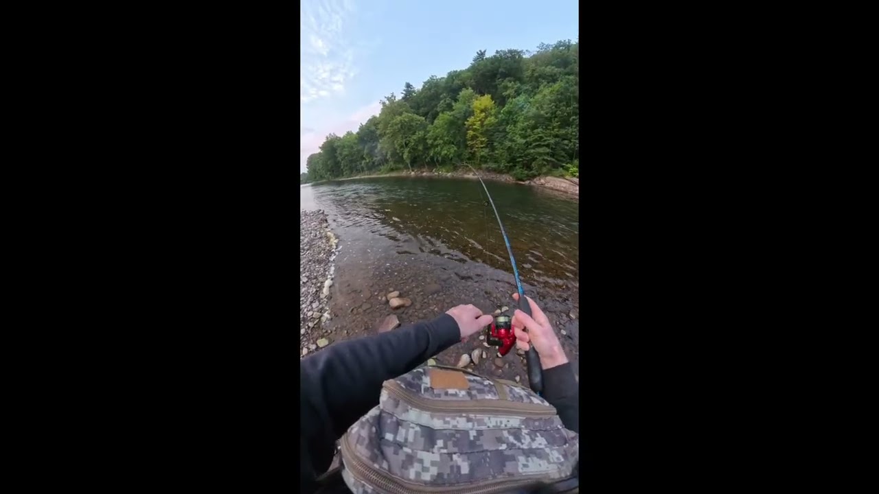 8/16/25 Doin some bass fishing #fishing #fishingvideo #bassfishing #smallmouthbass #largemouthbass