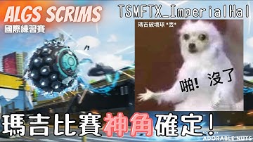 【Apex精華】TSM最強兩招：超神踩點＋瘋狂瑪吉？！｜ALGS 國際練習賽｜TSM_ImperialHal精華#83