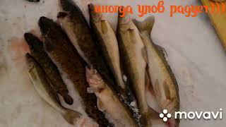 Зимняя рыбалка))