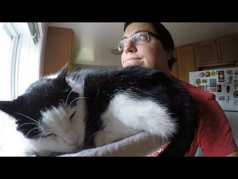 Maui and Me - Maui and Me