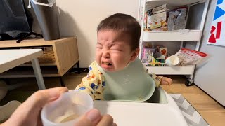 【音量注意、1歳離乳食】ご飯中に怒り出すりっくん Volume warning, 1 year old weaningAngry outburst of surikkun during meal