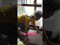 寝たきりを繰り返し 脚力低下でよーいドン！な母のボチボチな日曜日 #緩和ケア #ガン #酸素療法