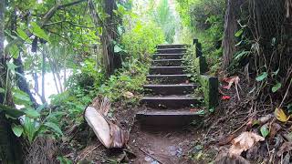 Onomea Trails, Big Island, Hawaii