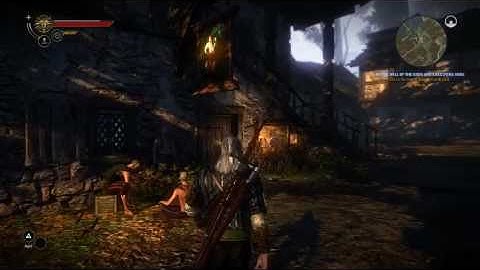 The Witcher 2 - Exclusive Combat Overview HD