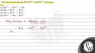 The size of the species \( \mathrm{Fe}, \mathrm{Fe}^{2+} \) and \( \mathrm{Fe}^{3+} \) decreases...