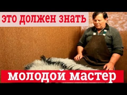 Как выделать шкуру. Выделка шкур в домашних условиях