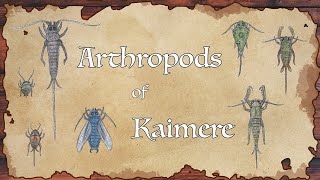 Arthropods of Kaimere