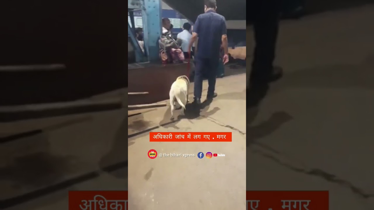 Patna junction is on bomb alert , watch now 
