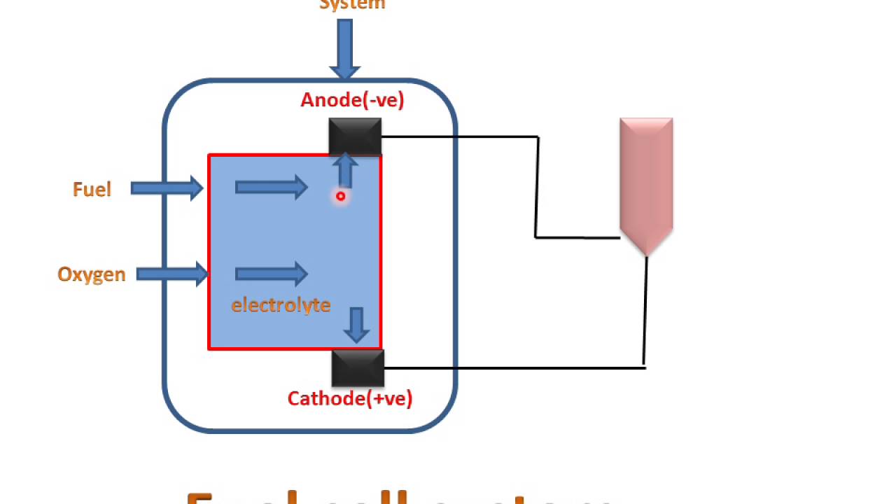 Fuel Cell(Parts & Working) YouTube