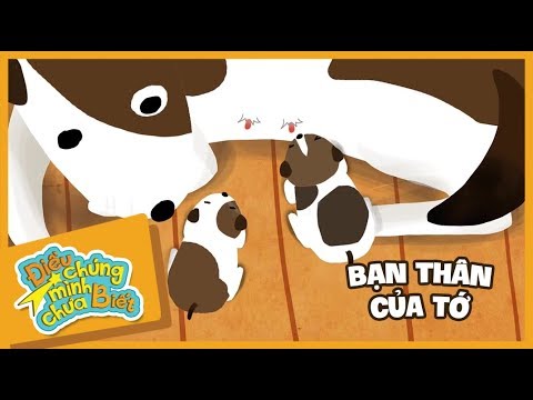 Bạn Thân Của Tớ