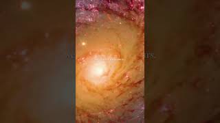 Why You’re NOT Getting What You Want(It’s Not What You Think). Watch full video on youtube. #mindset