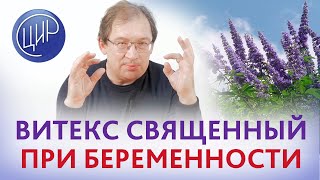 Витекс священный (agnus castus) для снижения пролактина во время беременности - стоит ли принимать?