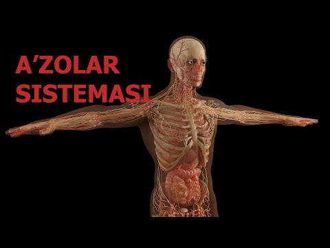 Video: O'zgarishga Tayyorlik / Xohlamaslik