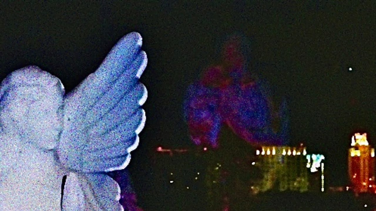 The Felines - Yesteryear 往年の [OFFICIAL AUDIO]