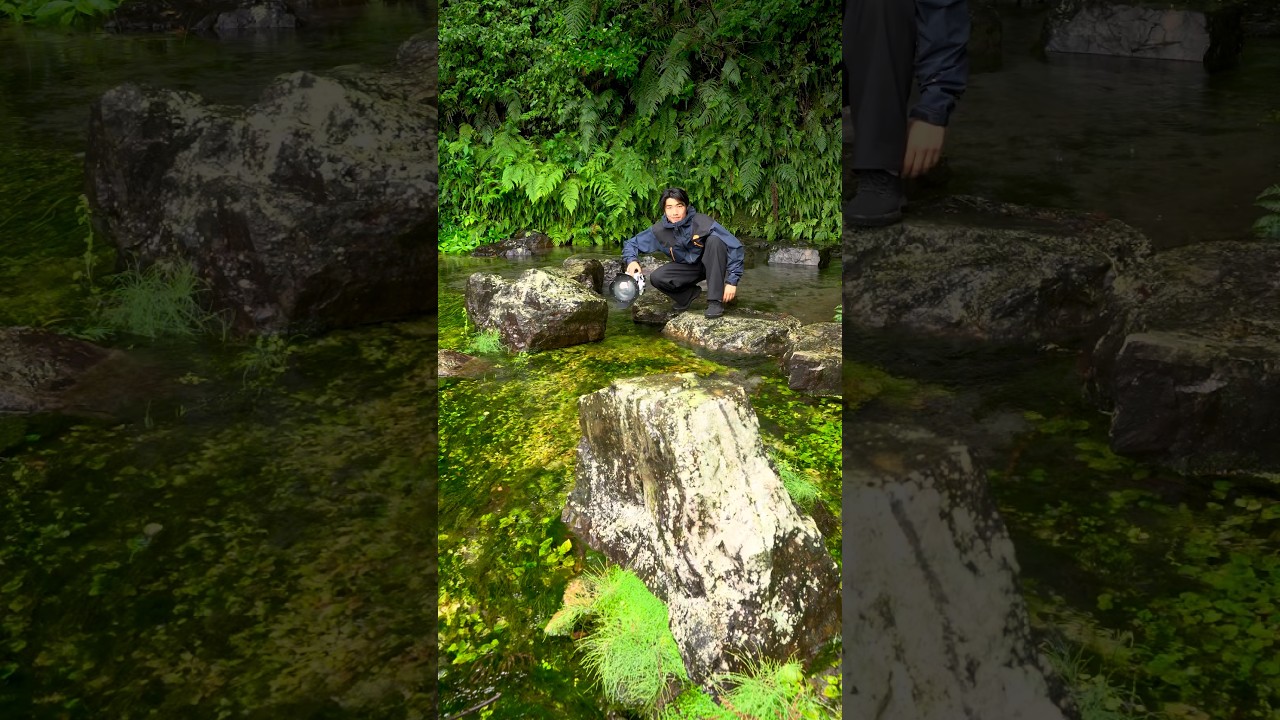 Rain above. Paradise below. 🌧️🌿*特別な許可を得て撮影しております。#underwater #underwaterworld #水中映像 #水中撮影 #japan