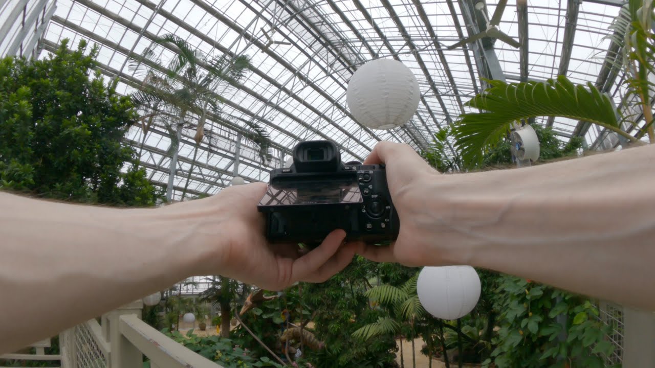 Photography POV: Sony A7s & Sony Vario-Tessar T* FE 24-70mm f/4 