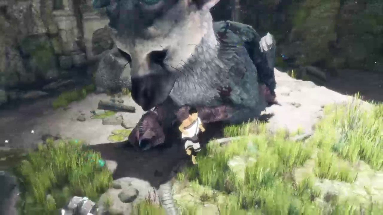 the last guardian gameplay funny the last guardian gameplay funny