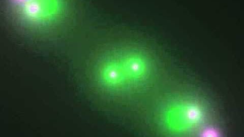 MIZTA NYSOM ///GEE OHH DEE TOLD ME