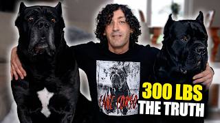 The HONEST Truth About Cane Corsos (I Own 300lbs of Them)