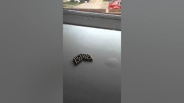 How to make a neocube ball drop tutorial with commentary